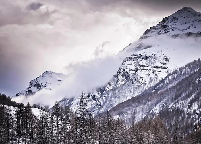 Appartement Sci E Montagna Vera *