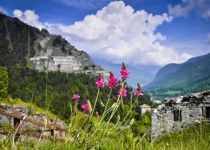 Sci E Montagna Vera Appartement